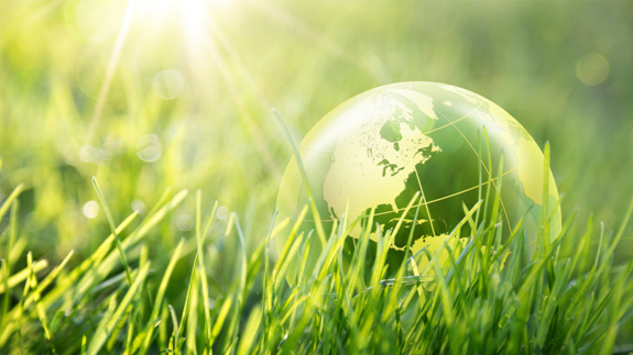 Image: Thinkstock
