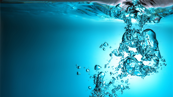 Image: Shutterstock