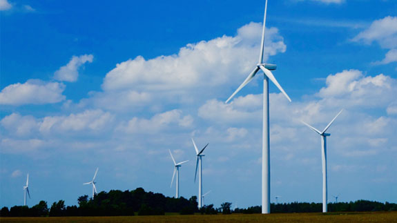 A wind farm. Image: Thinkstock