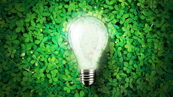Image: Shutterstock