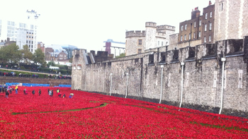 Art installation, 'Blood Swept Lands and Seas of Red', at the Tower of London. Image: ELN / Vicky Ellis