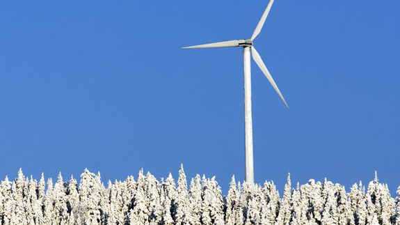 Image: BMJ/Shutterstock