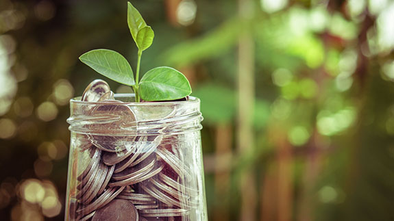 Image: Shutterstock