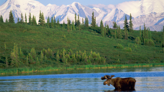 Wonder Lake, Denali National Park, Alaska, USA. Image: Thinkstock